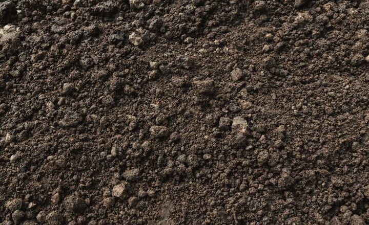 Residential Soil Reporting and Testing Services