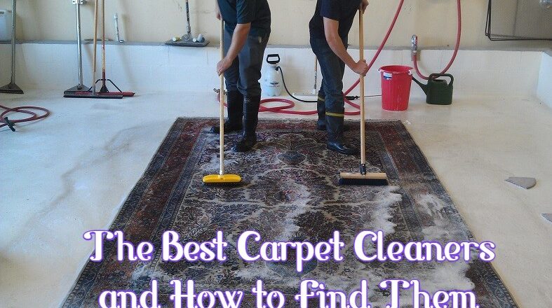The Best Carpet Cleaners and How to Find Them