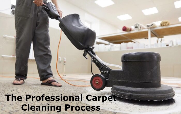 The Professional Carpet Cleaning Process